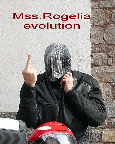 Mss_+Rogelia+evolution.jpg