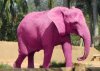 elefante-rosa.jpg
