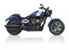 2015-Victory-Judge1-small.jpg