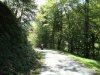 DSC03035.jpg