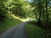 DSC03027.jpg