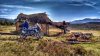 IMG_20150503_084505045_HDR_1.jpg