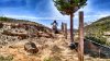 IMG_20150503_104202621_HDR.jpg