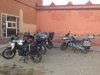IMG_2965.jpg