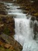 PICT0060.jpg