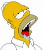 homero_babeando.jpg