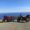 IMG_2023.jpg