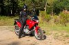 P1100540R.jpg