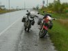 P1010508.jpg