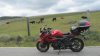 vacas El Espinar.jpg