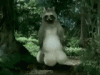 singe japon.gif
