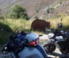 20180725_124312.jpg