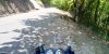 IMG_20180506_132634.jpg