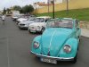 20180826_101435.jpg
