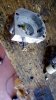 IMG-20180828-WA0014.jpg IMG-20180828-WA0014.jpg