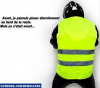 GILET.png