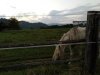 IMG_20180917_191244_376.jpg