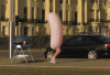 course-saucisse.gif