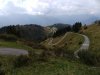 IMG_20180918_135337_421.jpg