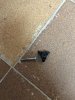 IMG_5623.jpeg