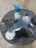 IMG_20181006_102619.jpg