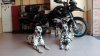 IMG-20170913-WA0004.jpeg