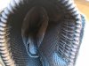 IMG_20181103_094137_1024x768.jpg