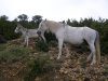 P9020123.jpg