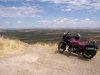IMG_1071.jpg