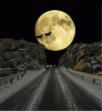 f242939e72718a2c620b96db981b6999.gif