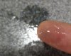 IMG_20181107_092616.jpg