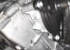 IMG_20181108_064657.jpg