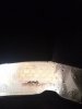 IMG_20181108_140434.jpg