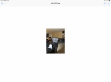 B35FED9C-4027-4A01-A69D-79067D19C5BA.png