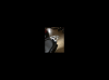 E3A7DA8D-3E61-46F7-8B81-62A911315A5B.png