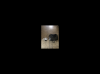 999727B7-D517-4700-A0A8-DCEA170148C6.png
