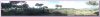 VIPG4030.jpg