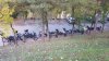 20181110_100715.jpg