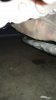IMG_20181219_195017.jpg IMG_20181219_195017.jpg