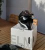 Foto 3.jpg
