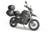 volta-bcn-forest_transp.png