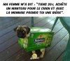 biere.jpg