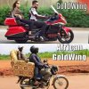goldwing.jpg