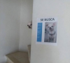 Pantallazo-2019-01-28 12-05-30.png
