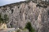 IMG_8201.jpg
