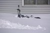NEIGE.jpg