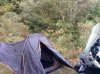 IMG_20150912_091118.jpg