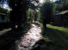 IMG_20150912_103019.jpg