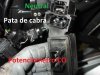 DSCF0007.jpg