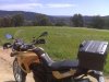 IMG00205.jpg